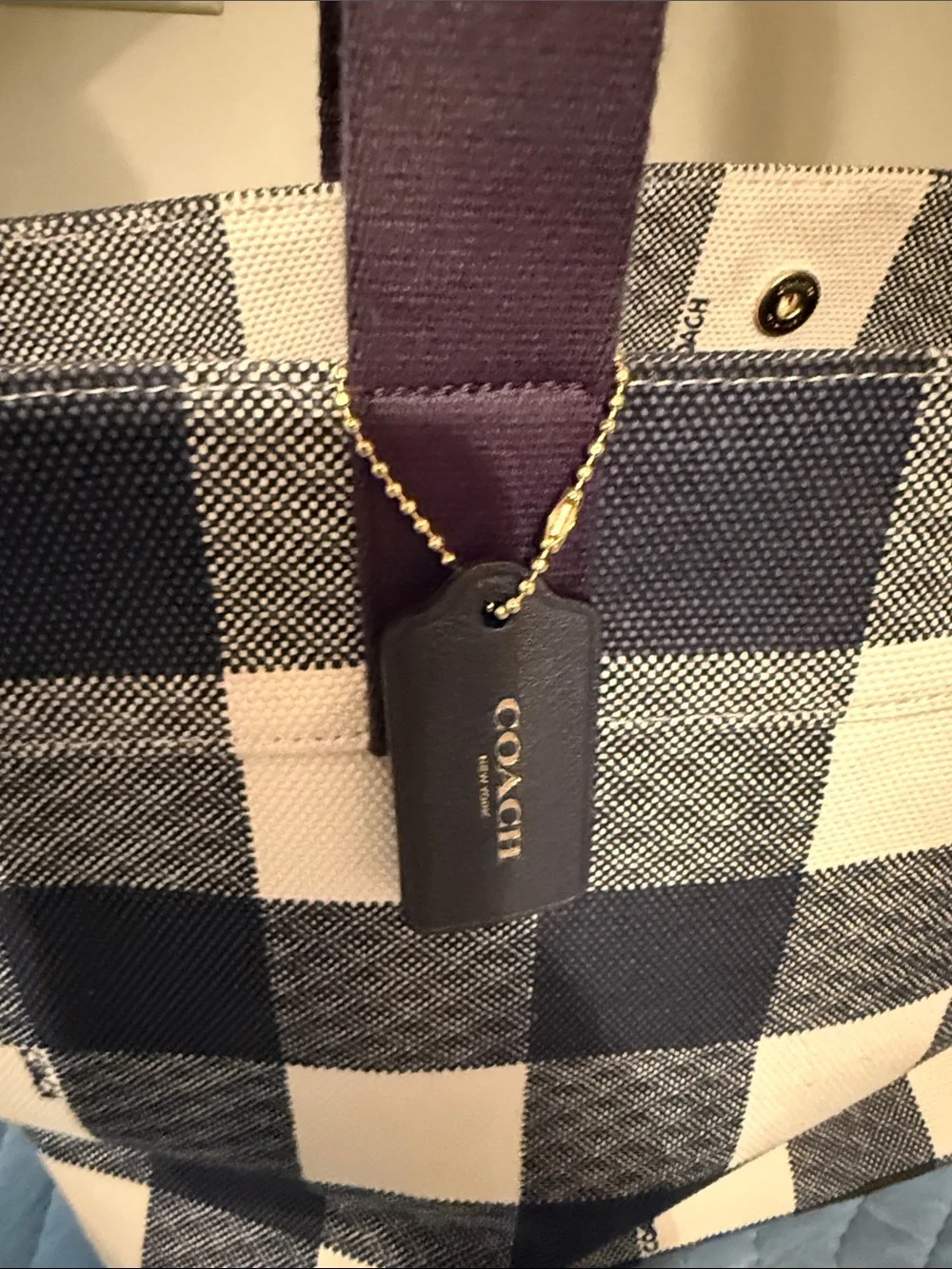 Coach Cream and Blue Buffalo Check Canvas Tote with Long Straps
